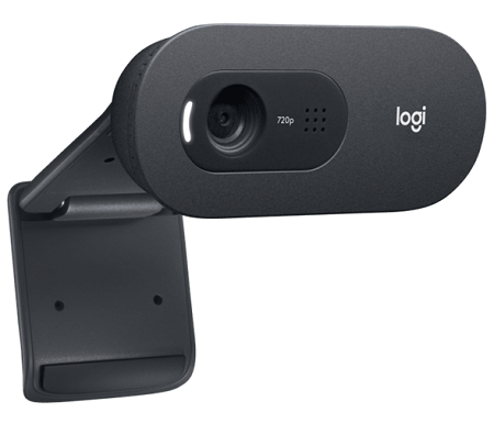 CAMARA WEB LOGITECH C505 HD 720P 960-001367 