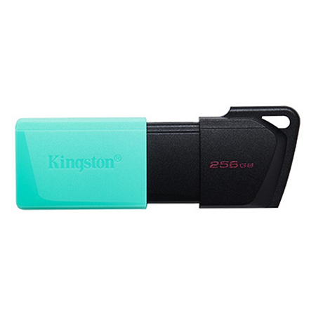MEMORIA USB KINGSTON DATATRAVELER EXODIA M 256GB DTXM/256GB 